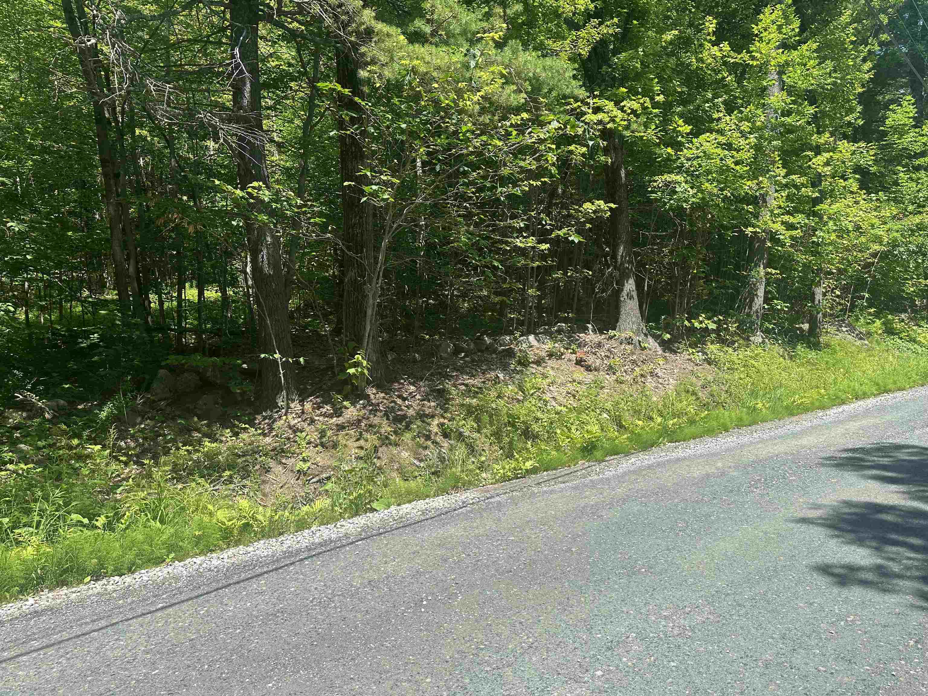 Lot 157 Old Province Road Newbury, NH 03255 - Photo 5 of 6
