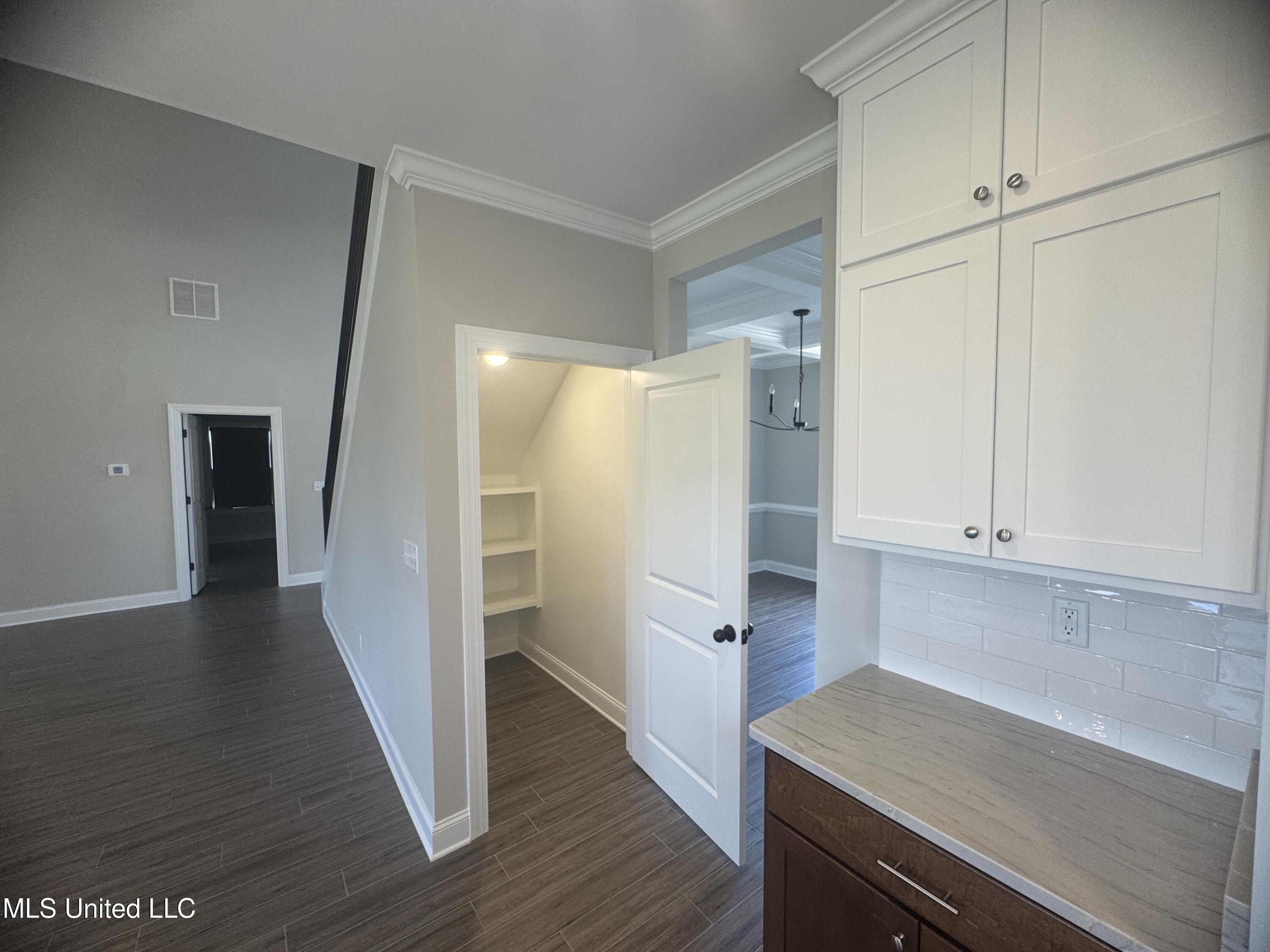 5322 Grays Valley Drive Hernando, MS 38632 - Photo 14 of 39 optional pantry space