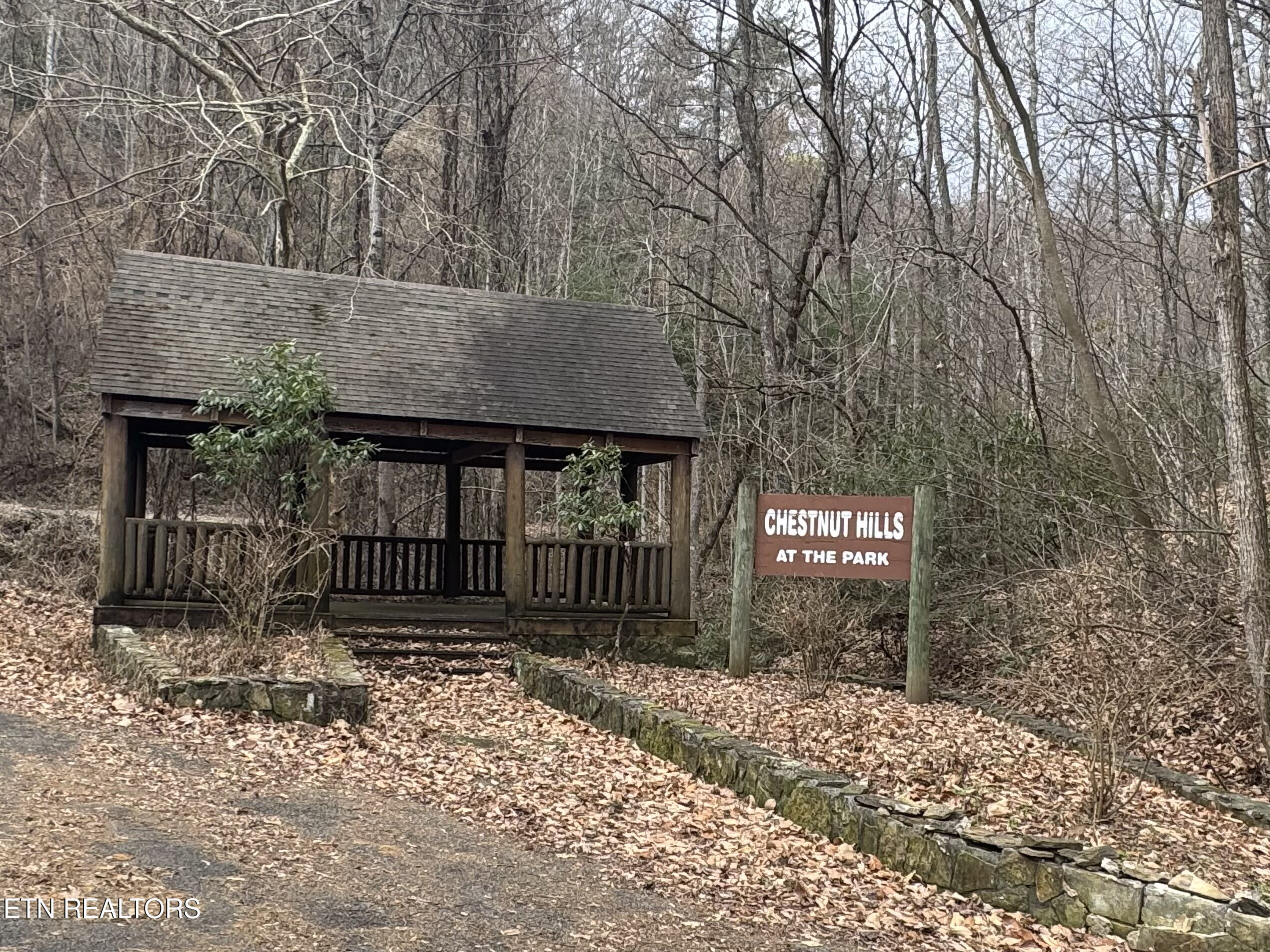 Hikers Path Lane Sevierville, TN 37862 - Photo 2 of 8 IMG_2771