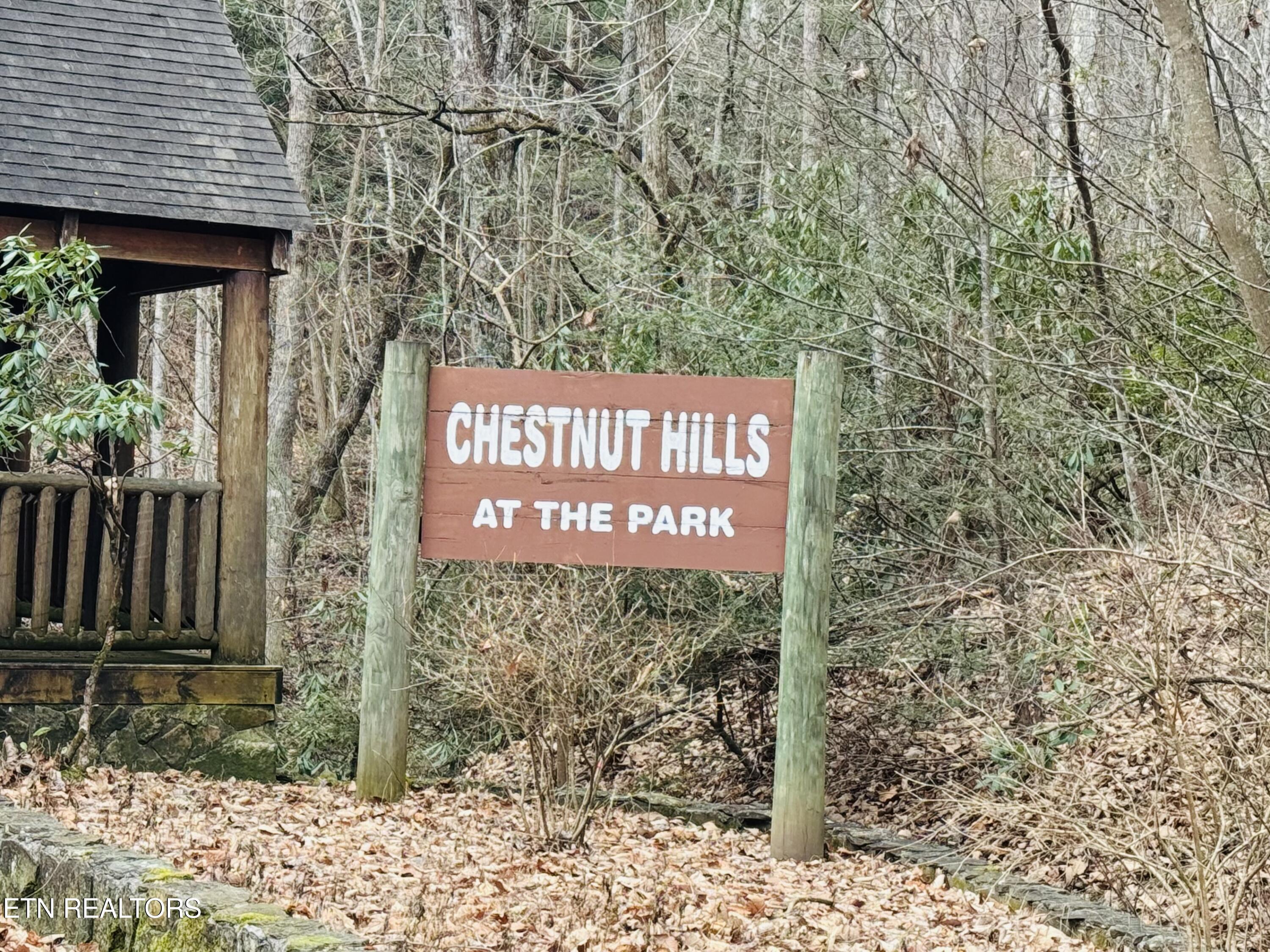 Hikers Path Lane Sevierville, TN 37862 - Photo 6 of 8 IMG_2770