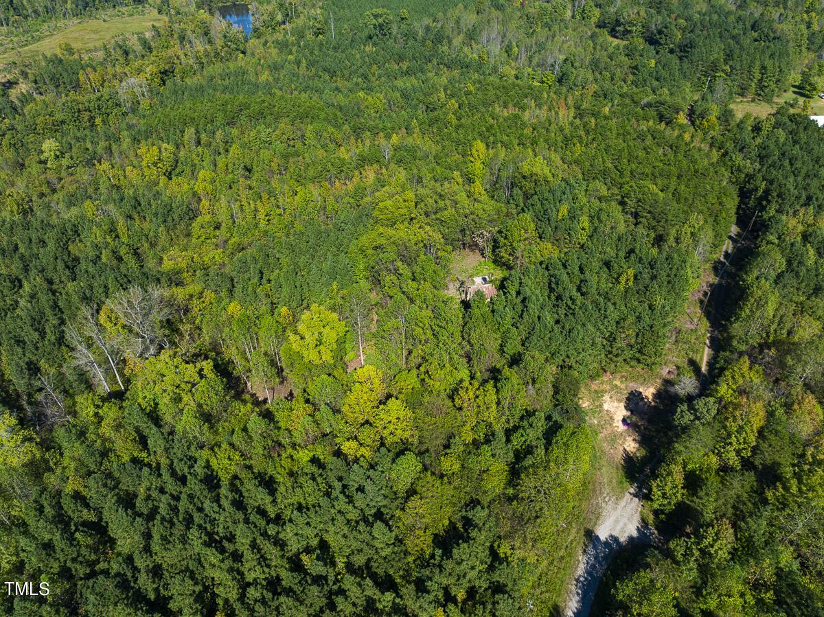 Lot-7-00 Wilson Road Providence, NC 27315 - Photo 28 of 41 Caswell Co. NC 10.03-Backwoods-Lot 7-28