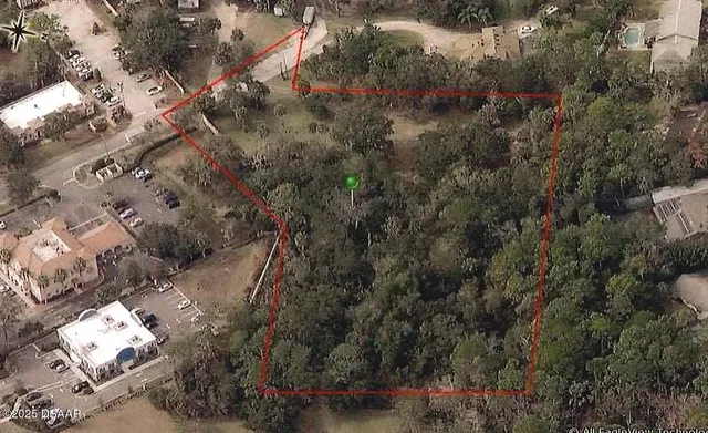 a view of a forest with a yard