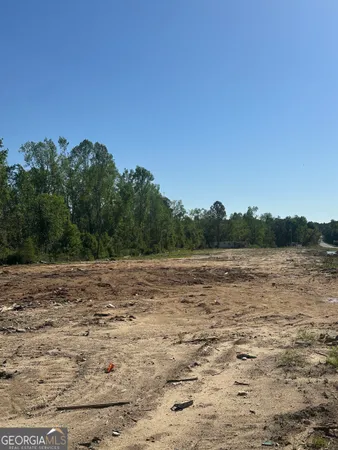 $160,000 | 0 East E Highway, Swainsboro, GA 30401
