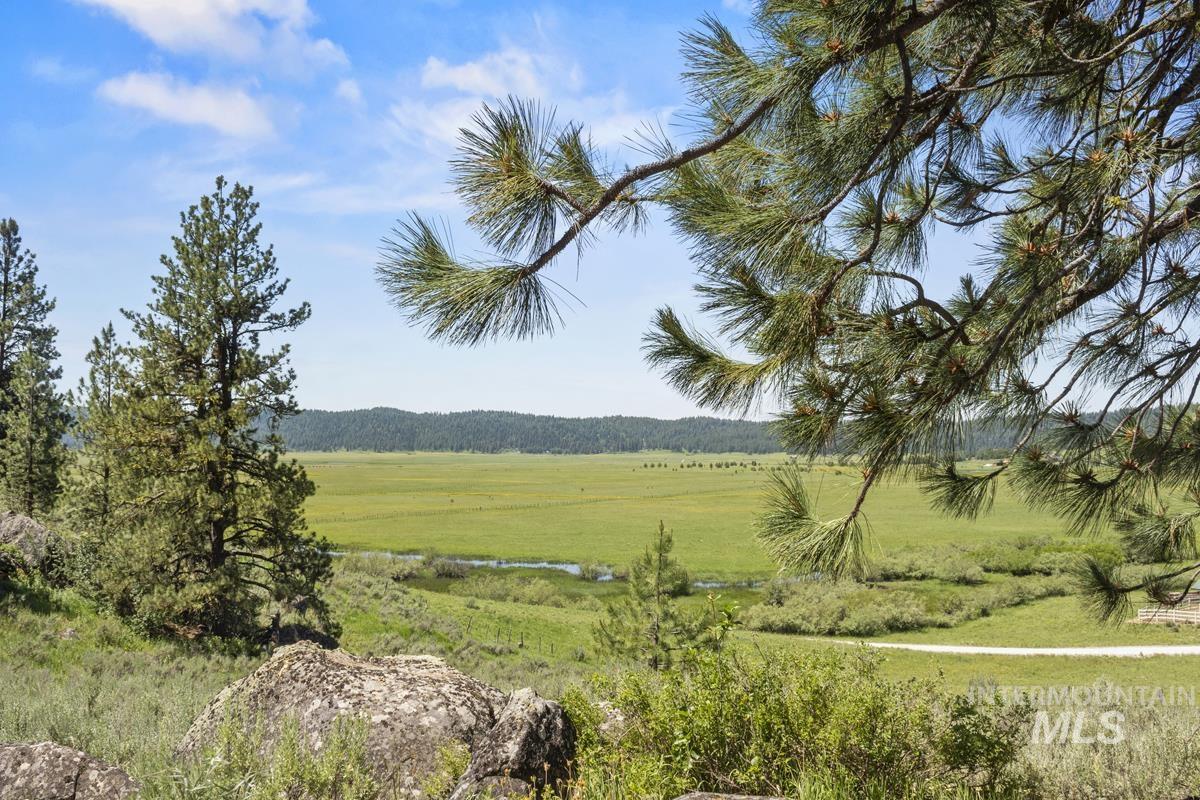 135 Lantern Way Cascade, ID 83611 - Photo 1 of 16 View of yard