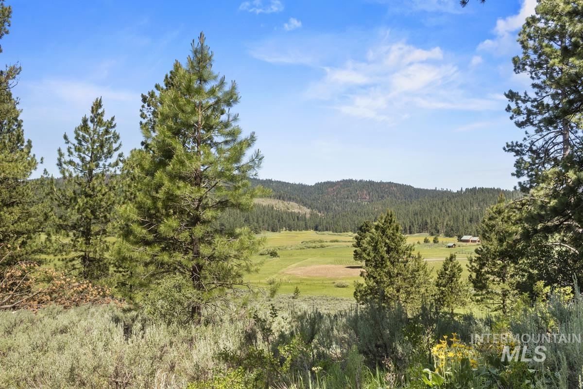 135 Lantern Way Cascade, ID 83611 - Photo 3 of 16 View of mountain backdrop with a forest