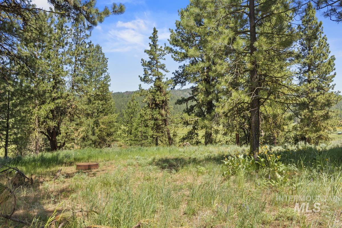 135 Lantern Way Cascade, ID 83611 - Photo 9 of 16 View of wooded area