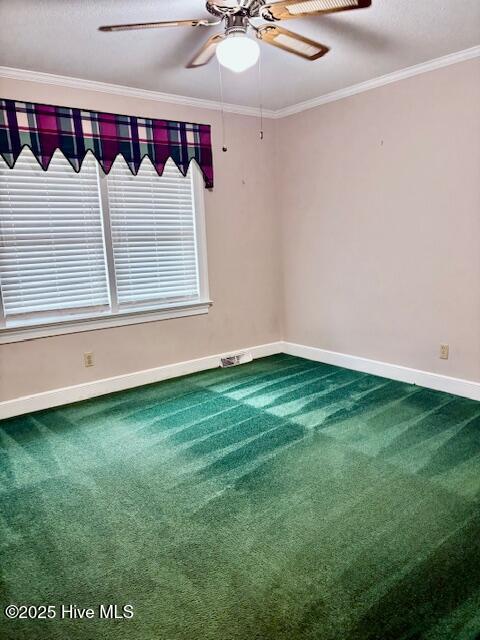 1729 Holly Ridge Road Kinston, NC 28504 - Photo 12 of 24 IMG_1162