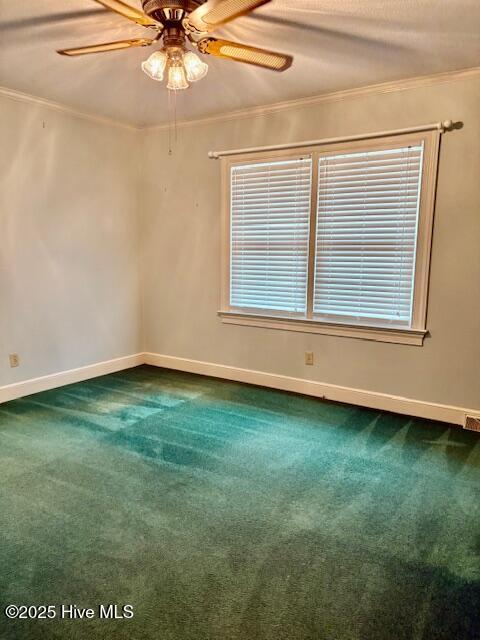 1729 Holly Ridge Road Kinston, NC 28504 - Photo 14 of 24 IMG_1165(1)