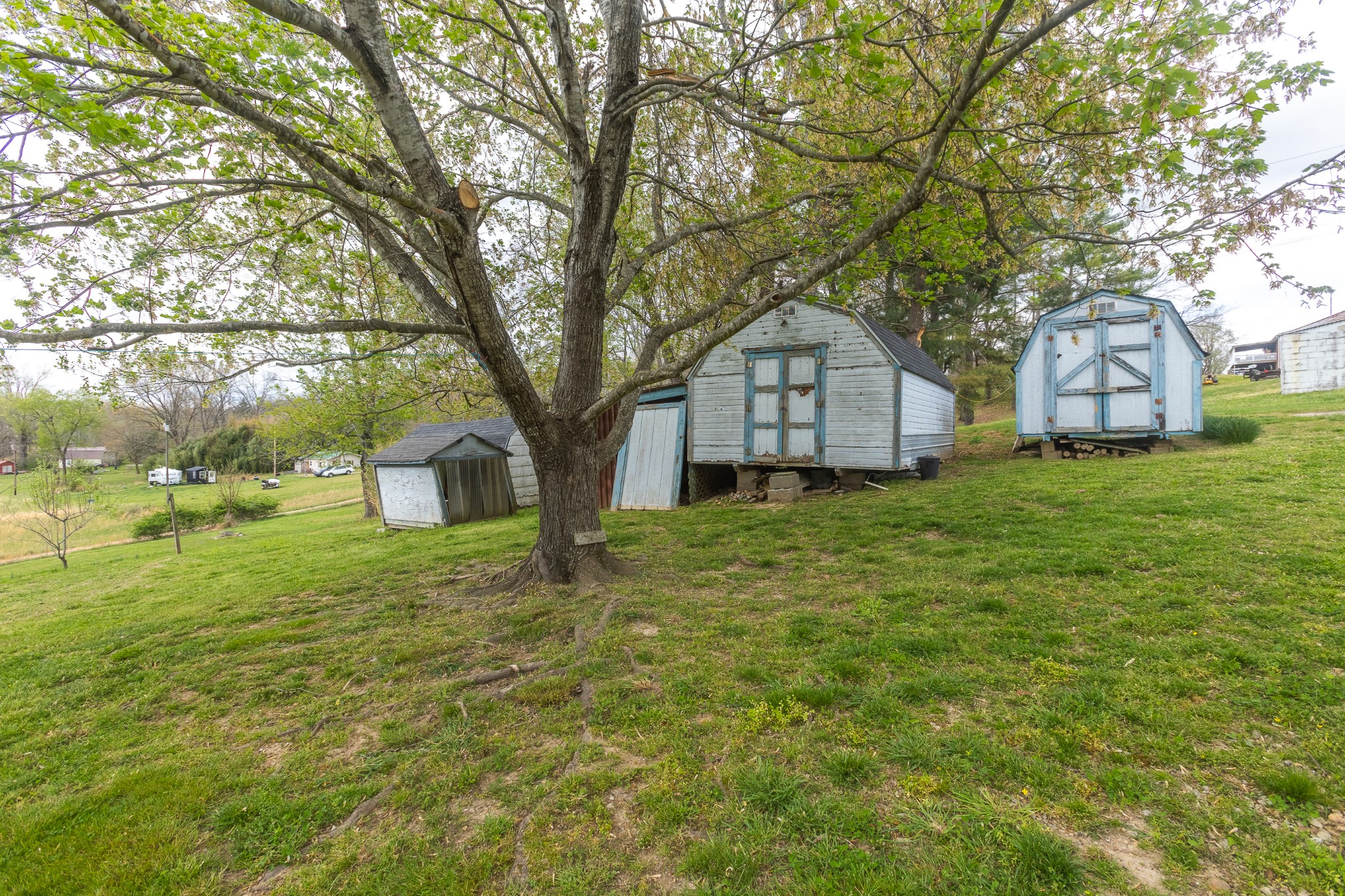 119 Fred Road Bon Aqua, TN 37025 - Photo 32 of 52