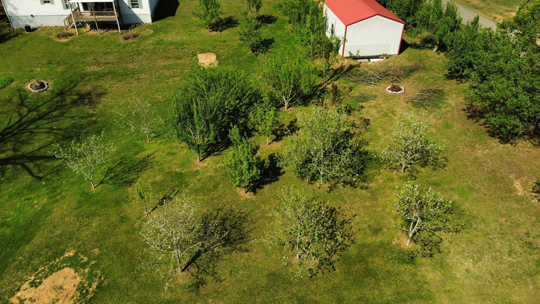 119 Fred Road Bon Aqua, TN 37025 - Photo 40 of 52