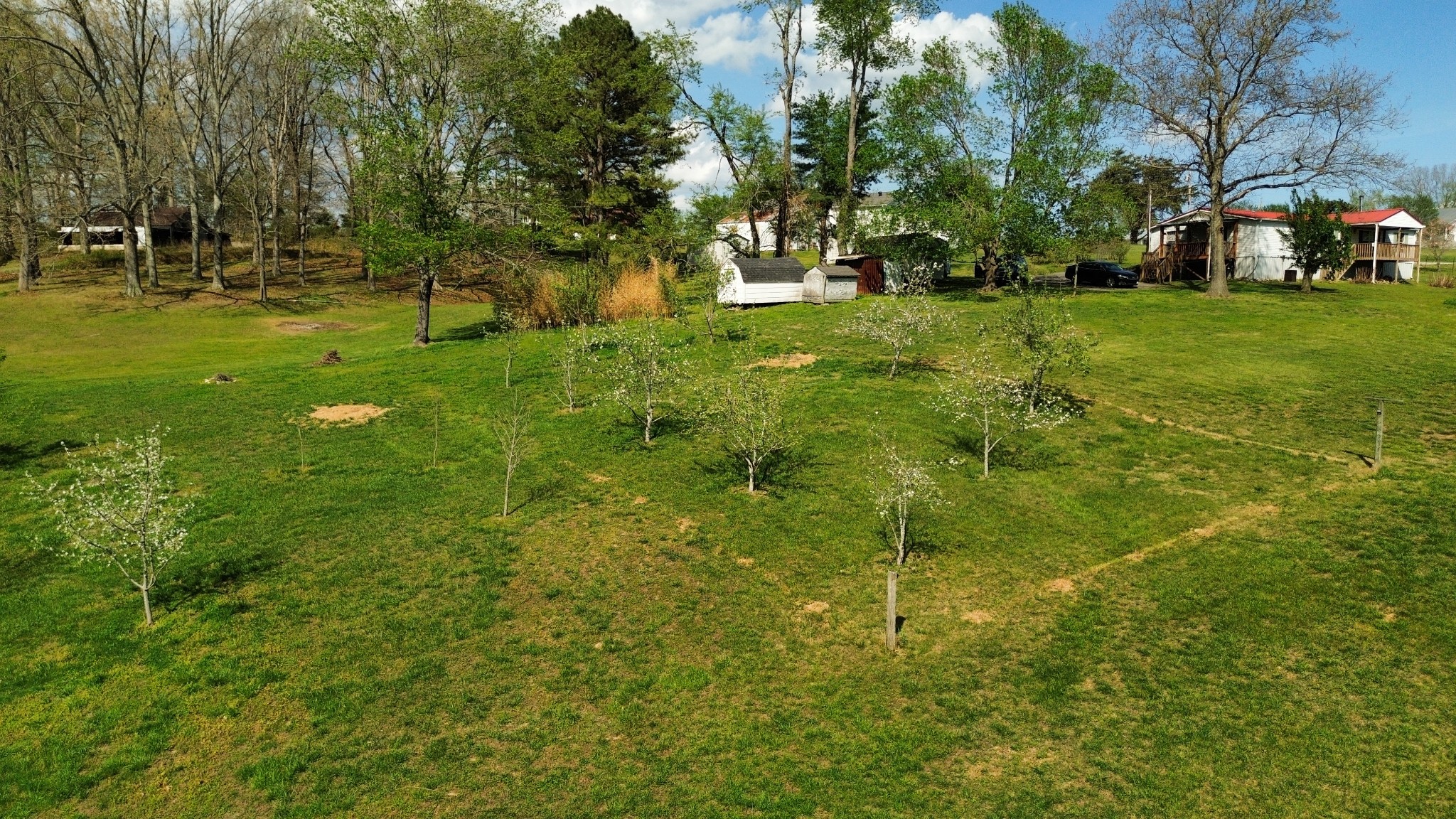 119 Fred Road Bon Aqua, TN 37025 - Photo 41 of 52