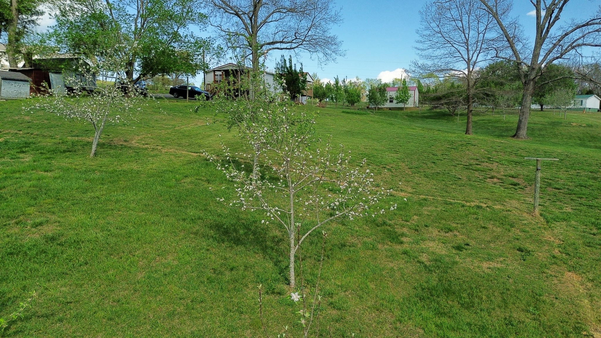 119 Fred Road Bon Aqua, TN 37025 - Photo 44 of 52