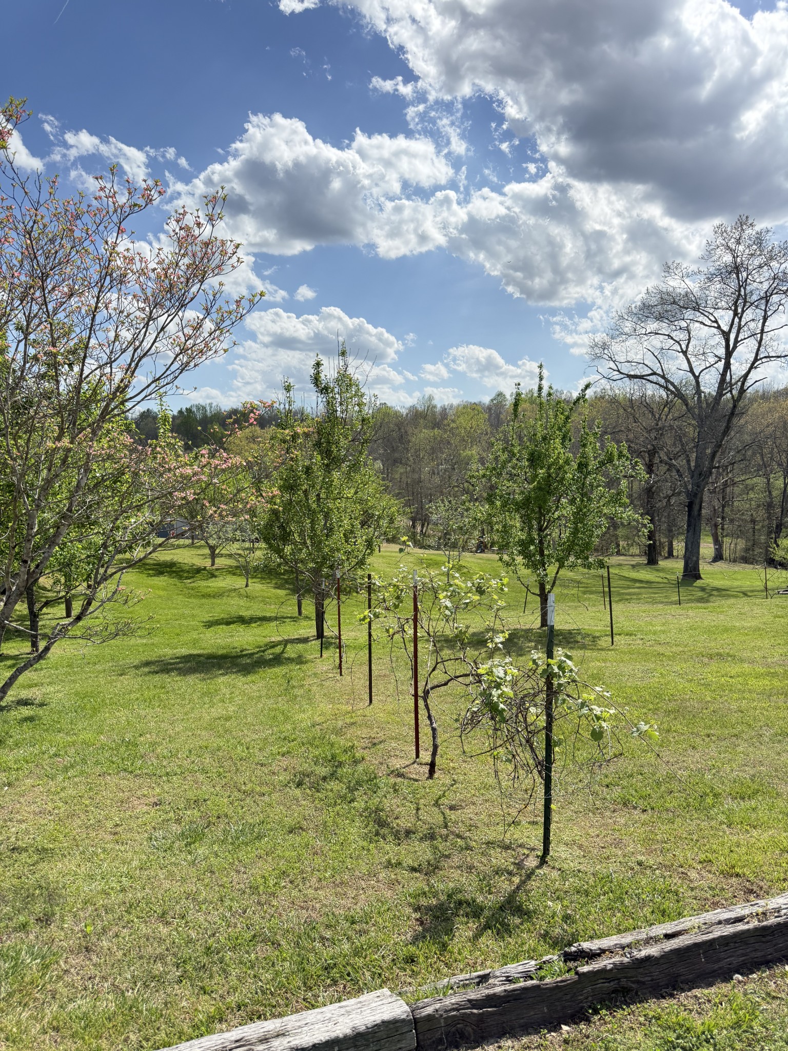 119 Fred Road Bon Aqua, TN 37025 - Photo 45 of 52