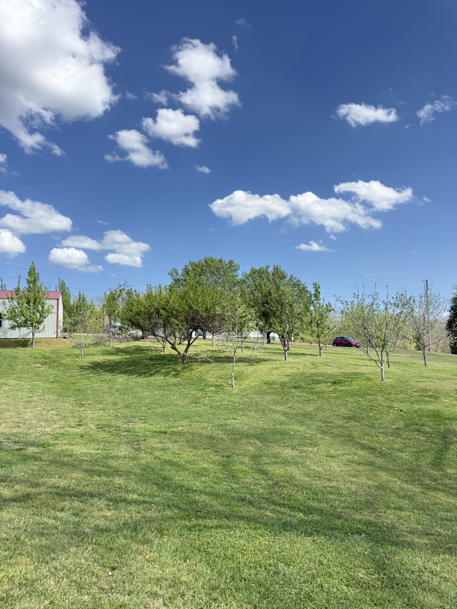 119 Fred Road Bon Aqua, TN 37025 - Photo 46 of 52