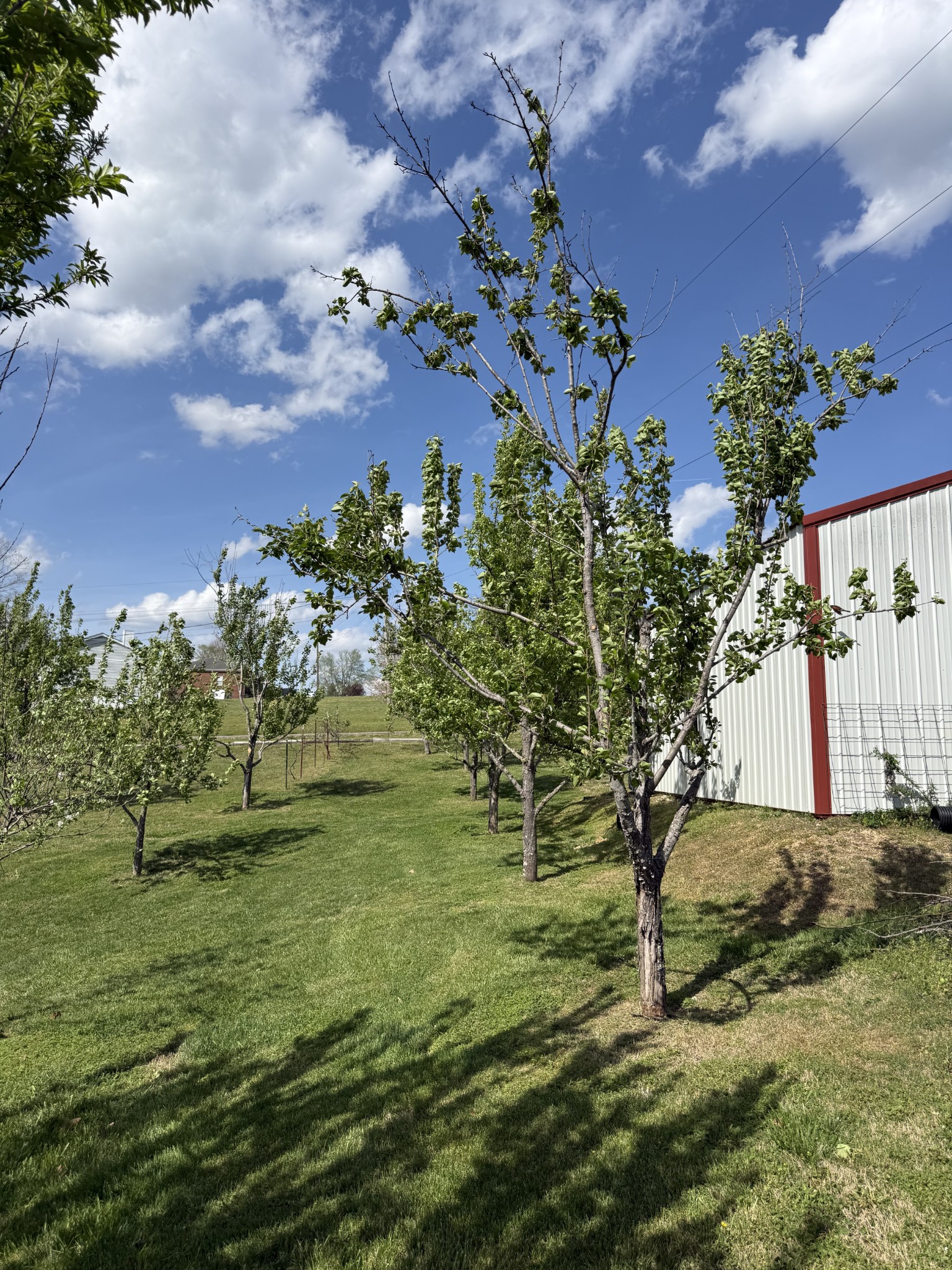 119 Fred Road Bon Aqua, TN 37025 - Photo 48 of 52