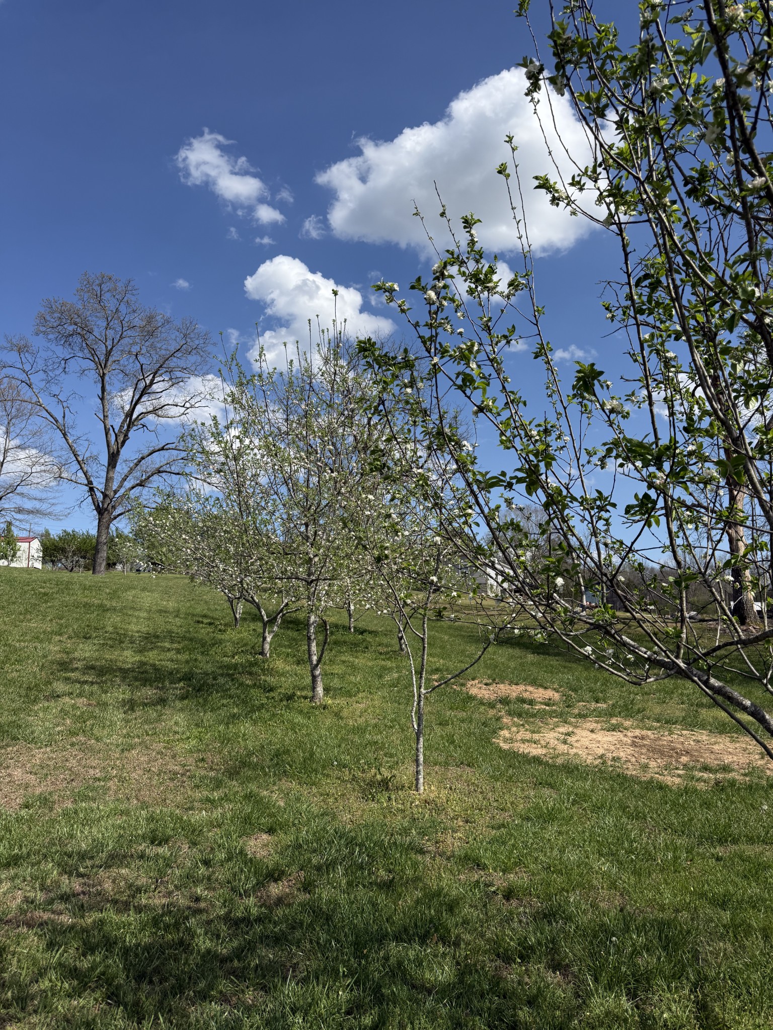 119 Fred Road Bon Aqua, TN 37025 - Photo 49 of 52