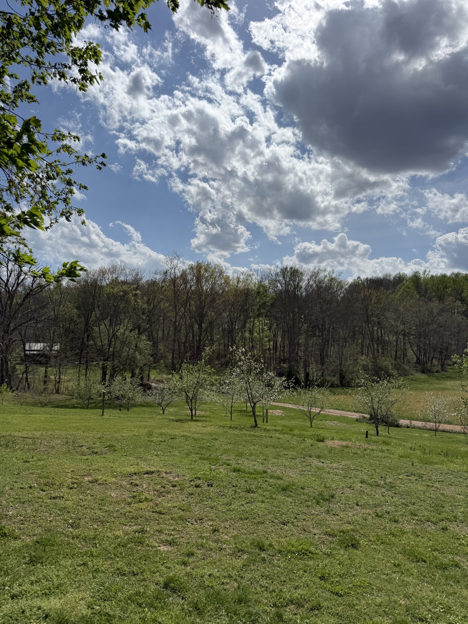 119 Fred Road Bon Aqua, TN 37025 - Photo 50 of 52