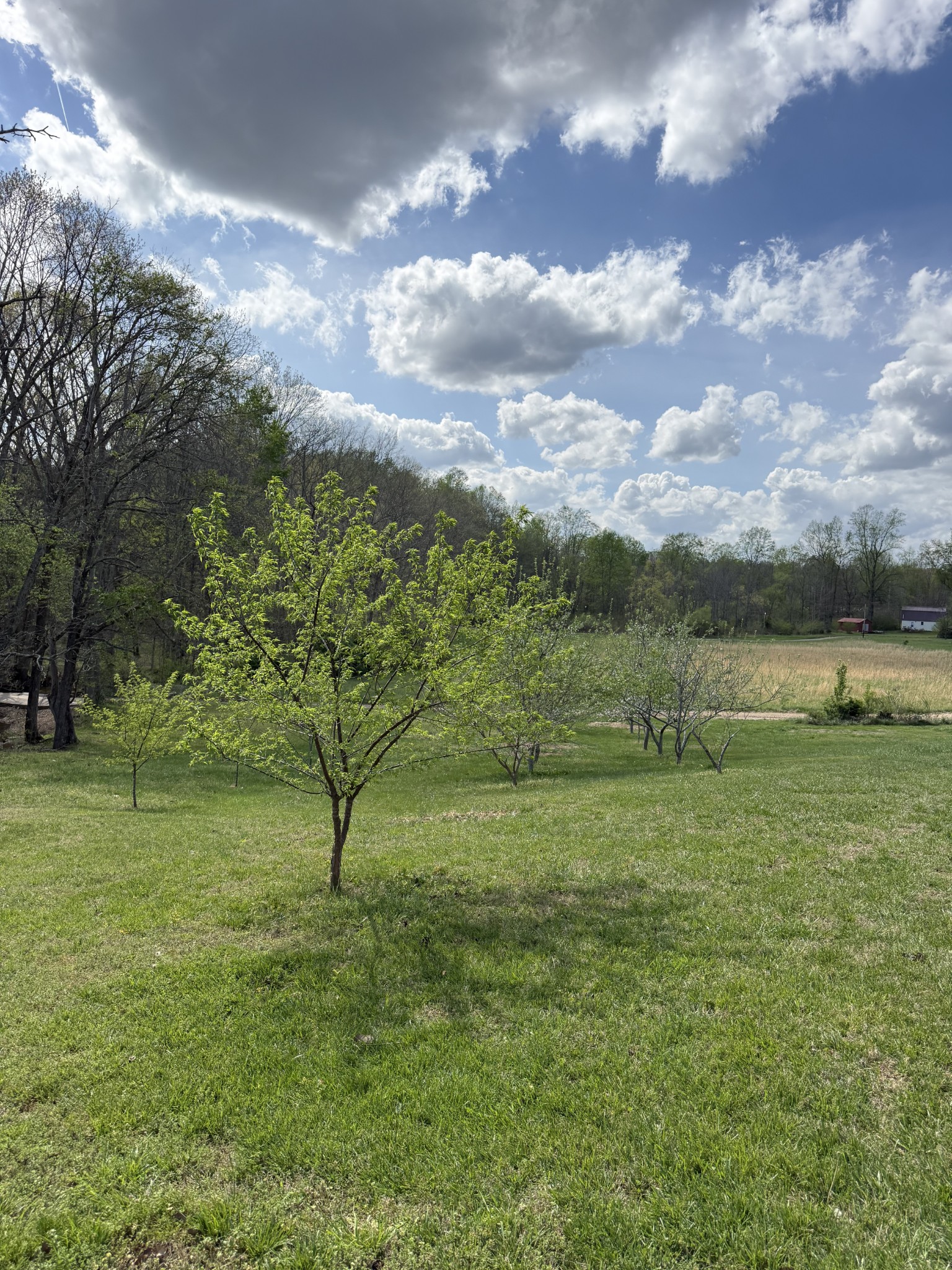 119 Fred Road Bon Aqua, TN 37025 - Photo 51 of 52