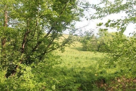 1 Long Run Road Brooksville, KY 41004 - Photo 8 of 8 Photo 8