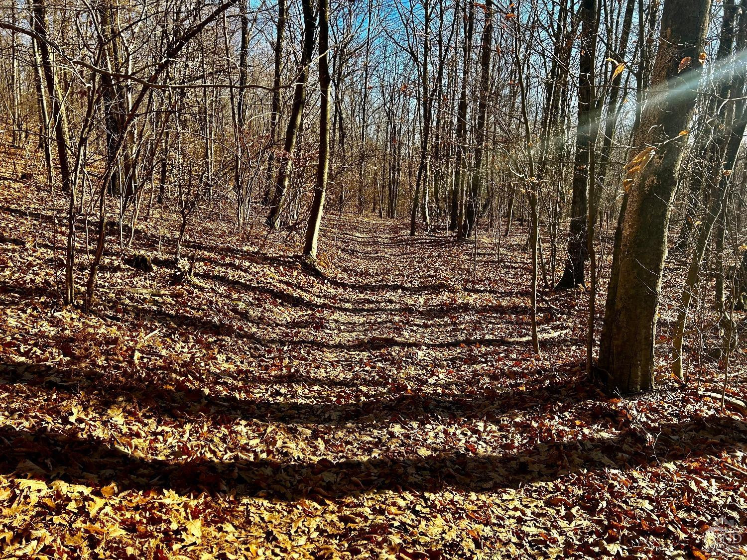 2 Dugway Austerlitz, NY 12017 - Photo 11 of 17 Photo 11
