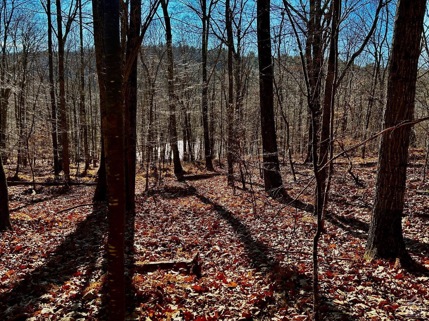 2 Dugway Austerlitz, NY 12017 - Photo 12 of 17 Photo 12