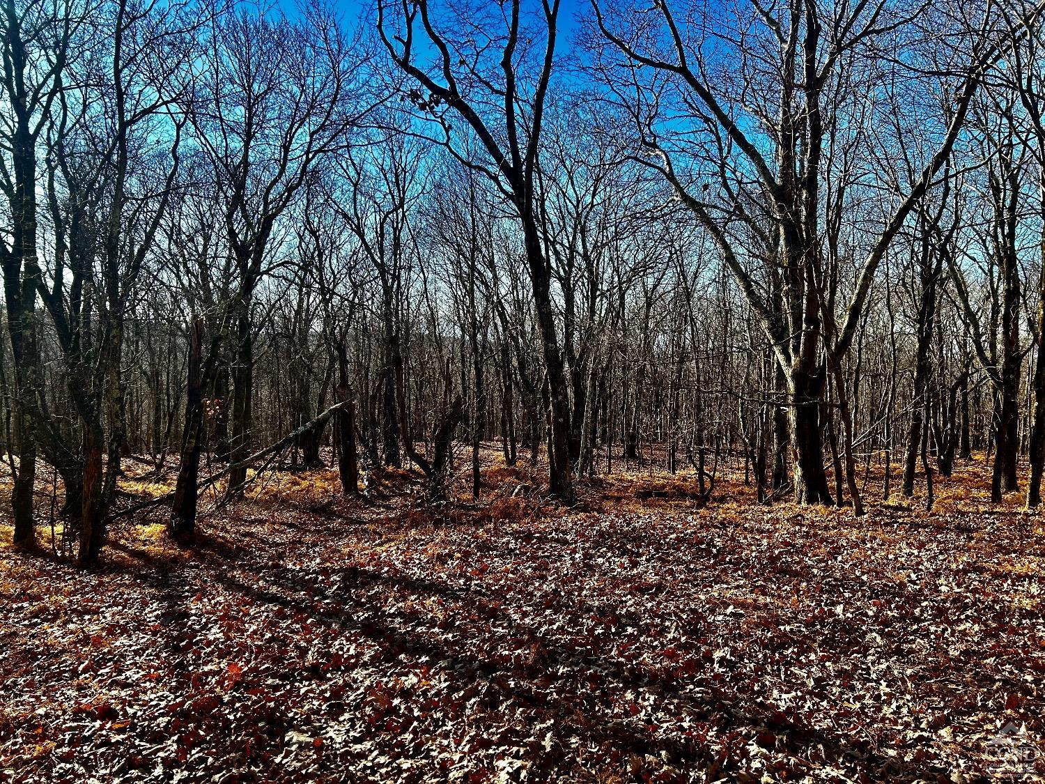 2 Dugway Austerlitz, NY 12017 - Photo 14 of 17 Photo 14