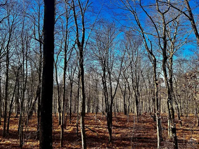 $2,999,000 | 2 Dugway, Austerlitz, NY 12017