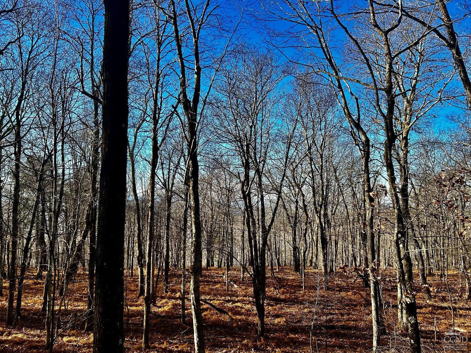 2 Dugway Austerlitz, NY 12017 - Photo 15 of 17 Photo 15