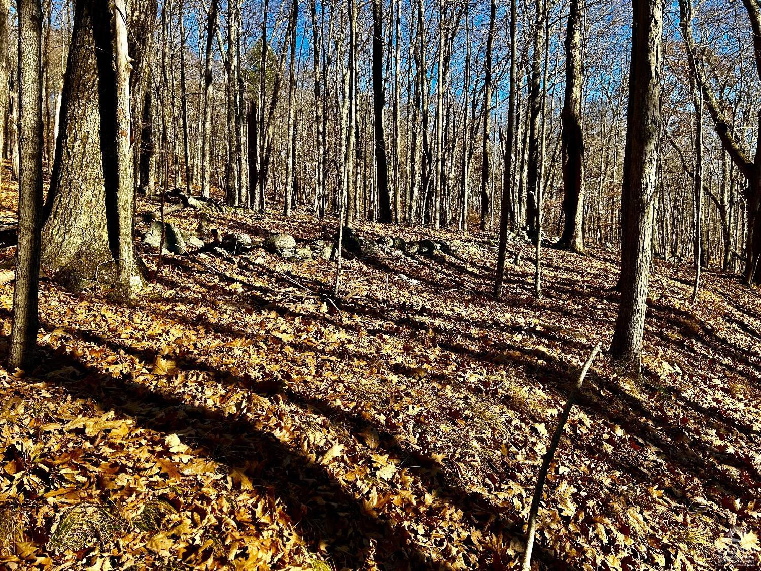 2 Dugway Austerlitz, NY 12017 - Photo 5 of 17 Photo 5