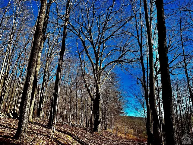 $2,999,000 | 2 Dugway, Austerlitz, NY 12017