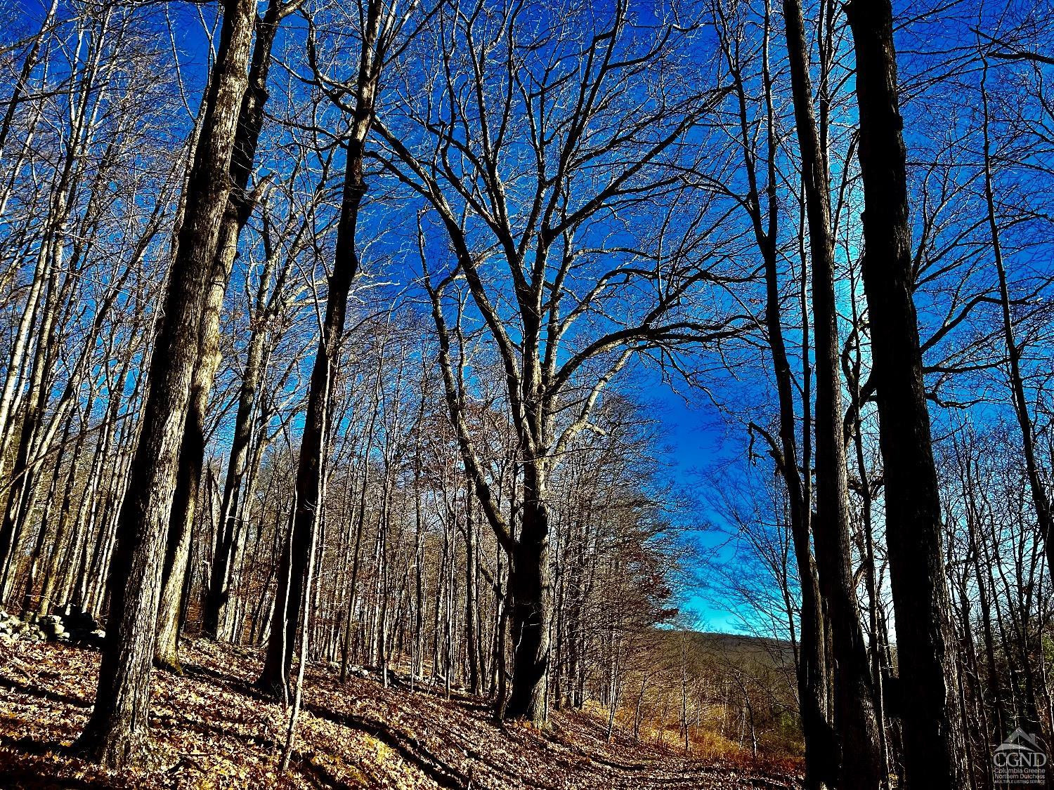 2 Dugway Austerlitz, NY 12017 - Photo 6 of 17 Photo 6