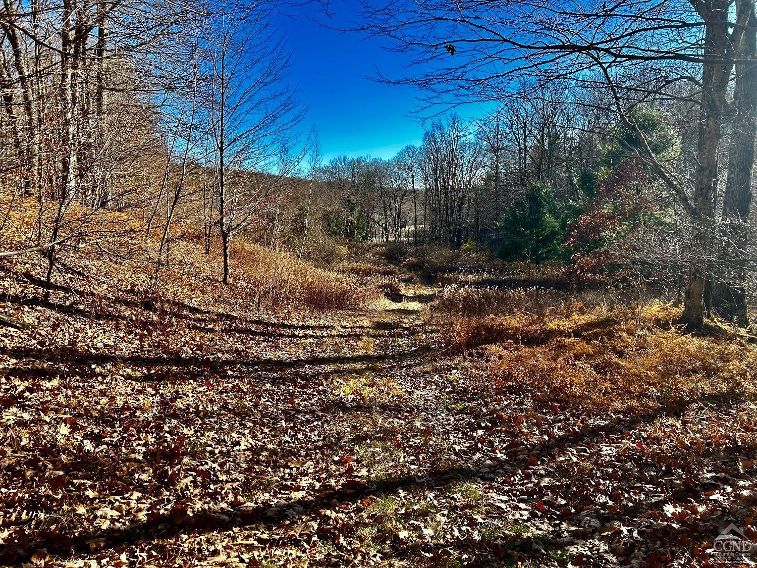 2 Dugway Austerlitz, NY 12017 - Photo 7 of 17 Photo 7