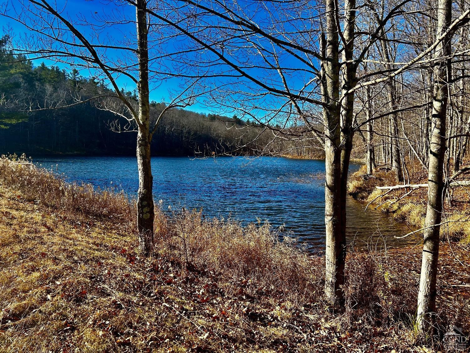 2 Dugway Austerlitz, NY 12017 - Photo 8 of 17 Photo 8