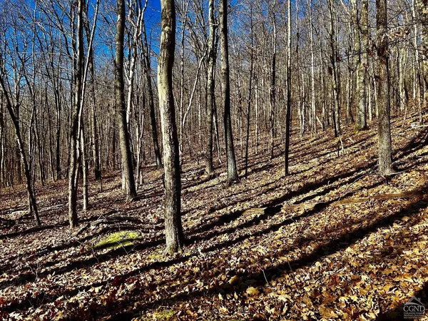$2,999,000 | 2 Dugway, Austerlitz, NY 12017