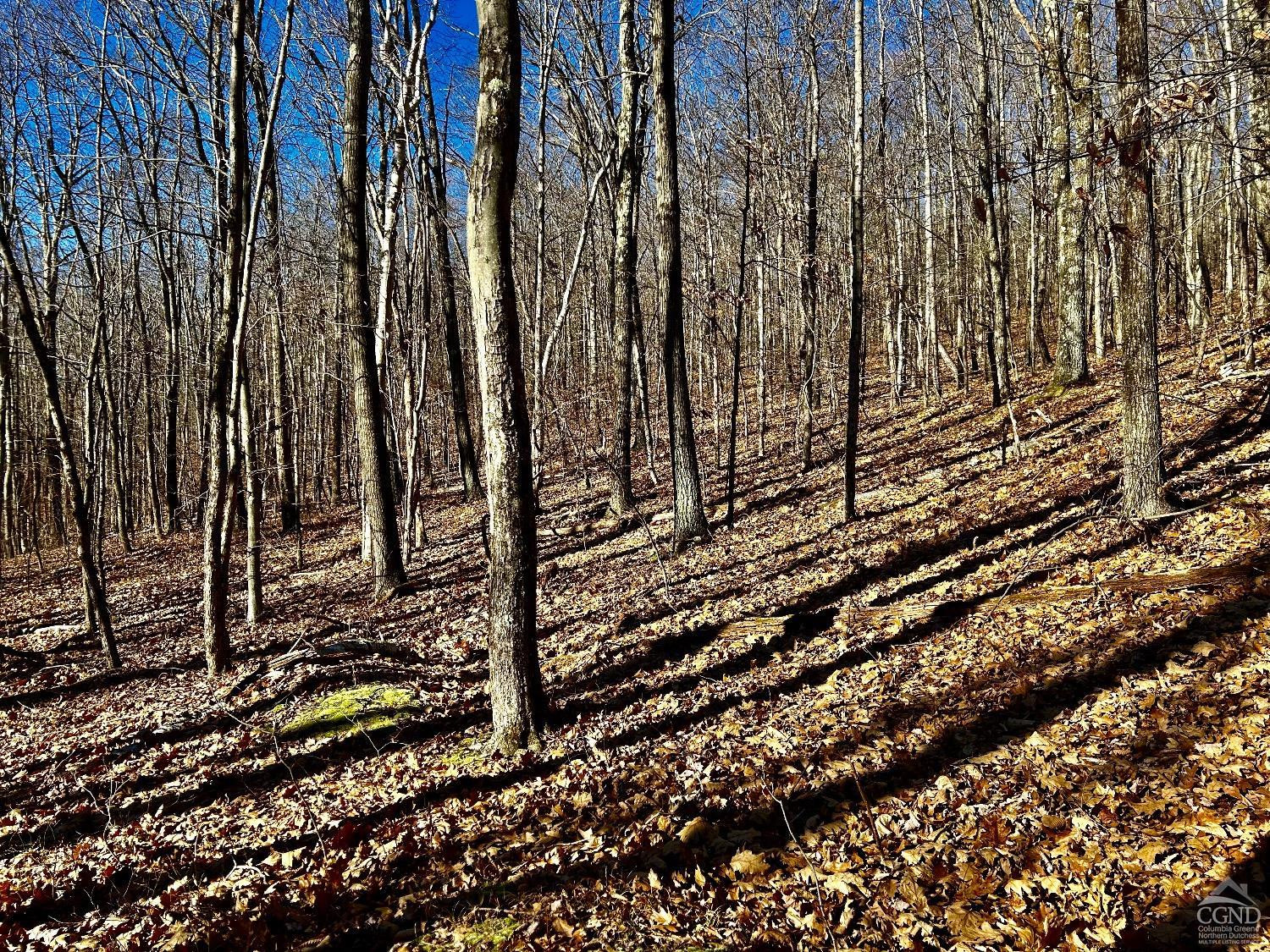 2 Dugway Austerlitz, NY 12017 - Photo 10 of 17 Photo 10