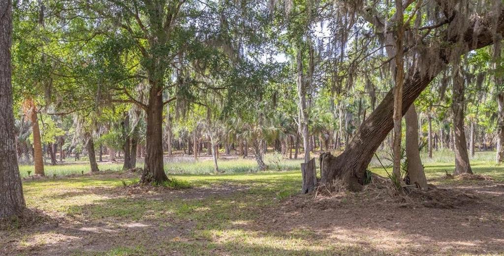 7149 Fitzpatrick Lane Jacksonville, FL 32226 - Photo 20 of 69