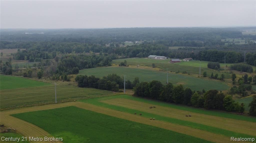 10582 East 80th Street Reed City, MI 49677 - Photo 5 of 90