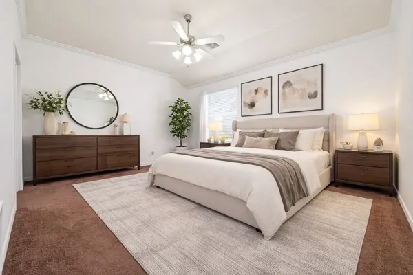 a bedroom with a large bed mirror and a potted plant