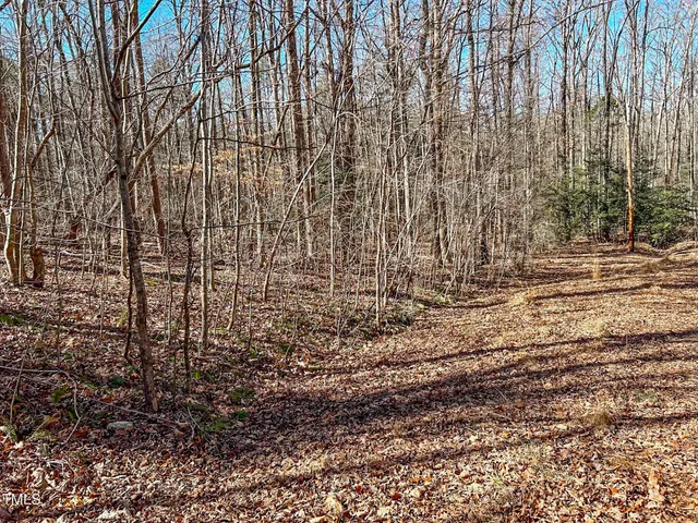 a view of a backyard of the house