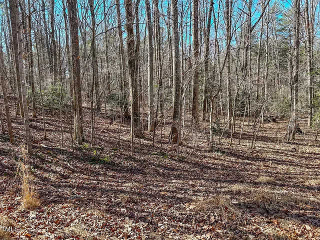 a view of a backyard with trees