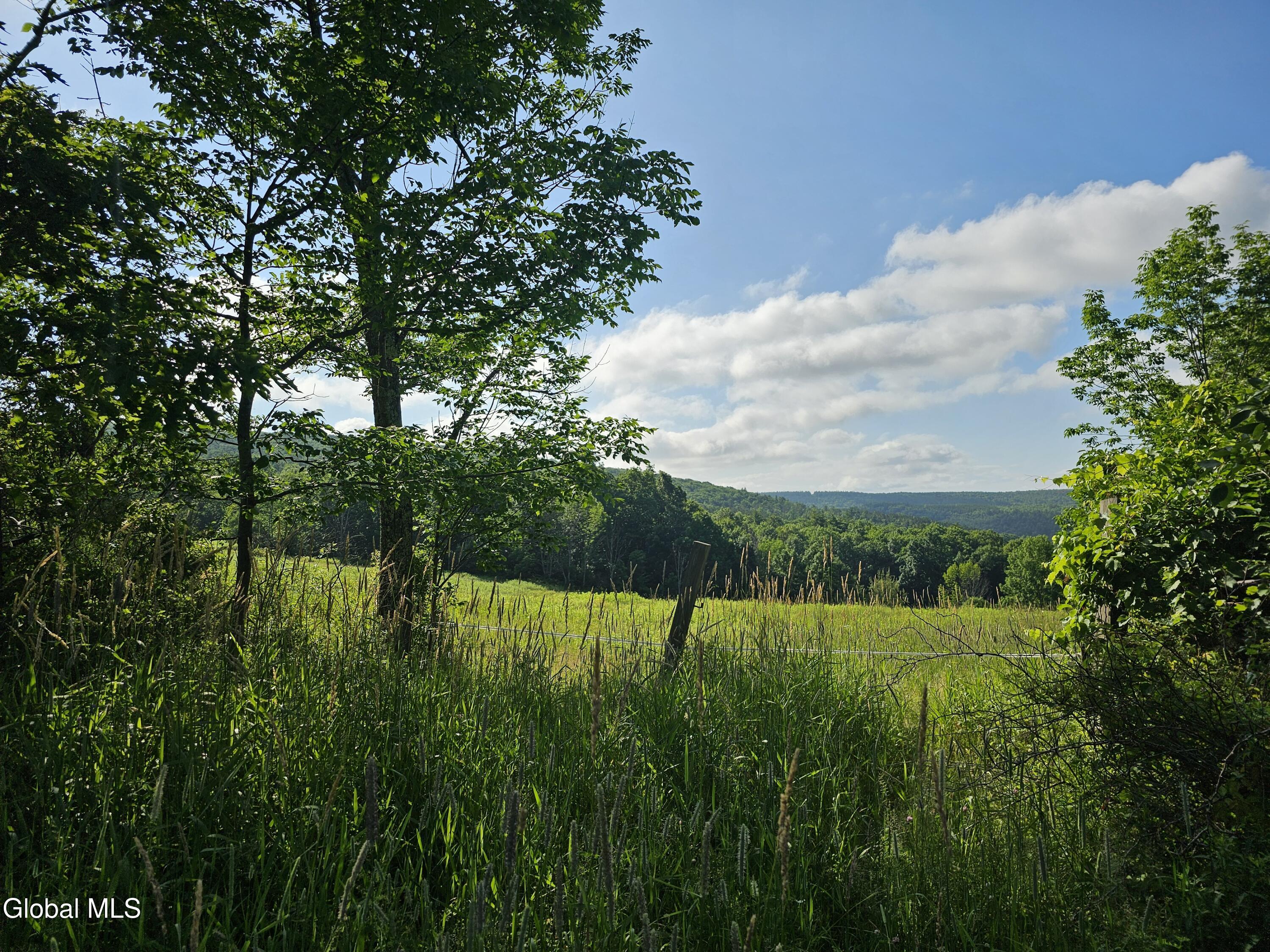 L-11 Earls Road Middleburgh, NY 12122 - Photo 10 of 15 20260709_085741
