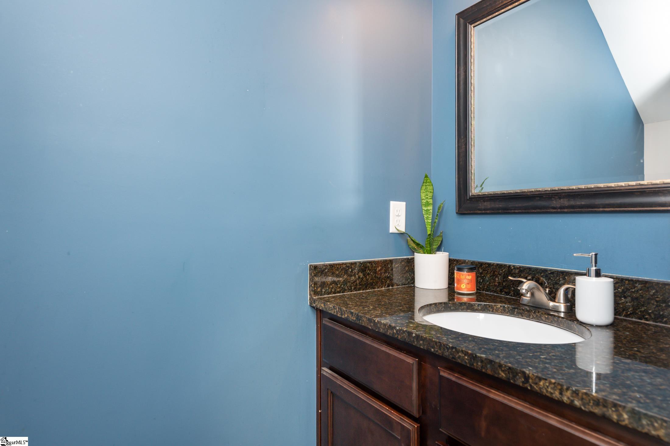 817 Skipping Rock Court Inman, SC 29349 - Photo 7 of 23