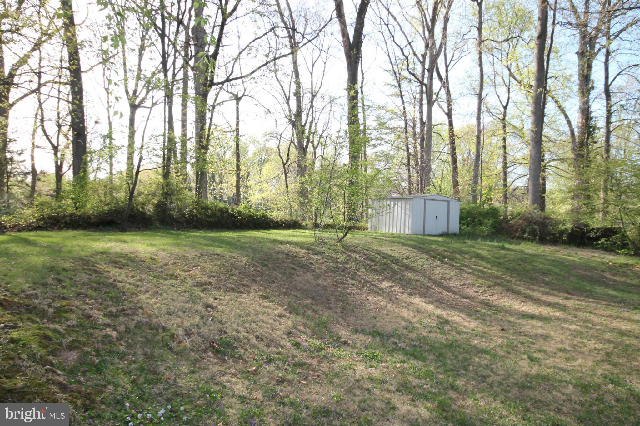 3154 Graham Road Falls Church, VA 22042 - Photo 14 of 16 Back Yard