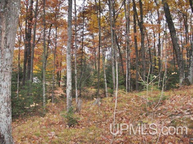 W7796 Barker Road Amberg, WI 54102 - Photo 15 of 16 Gallery Image 15