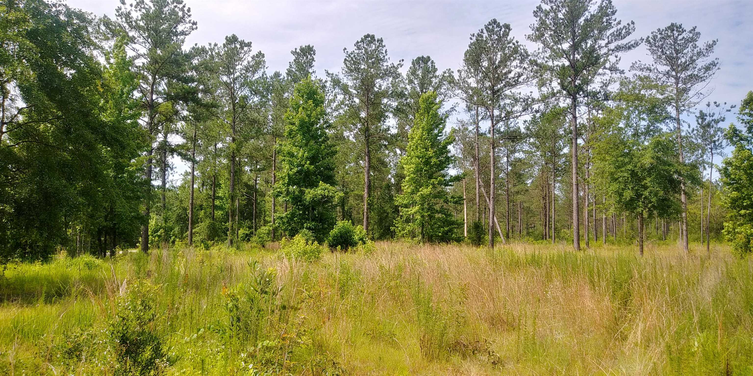 50705 Dyas Road Bay Minette, AL 36507 - Photo 3 of 6