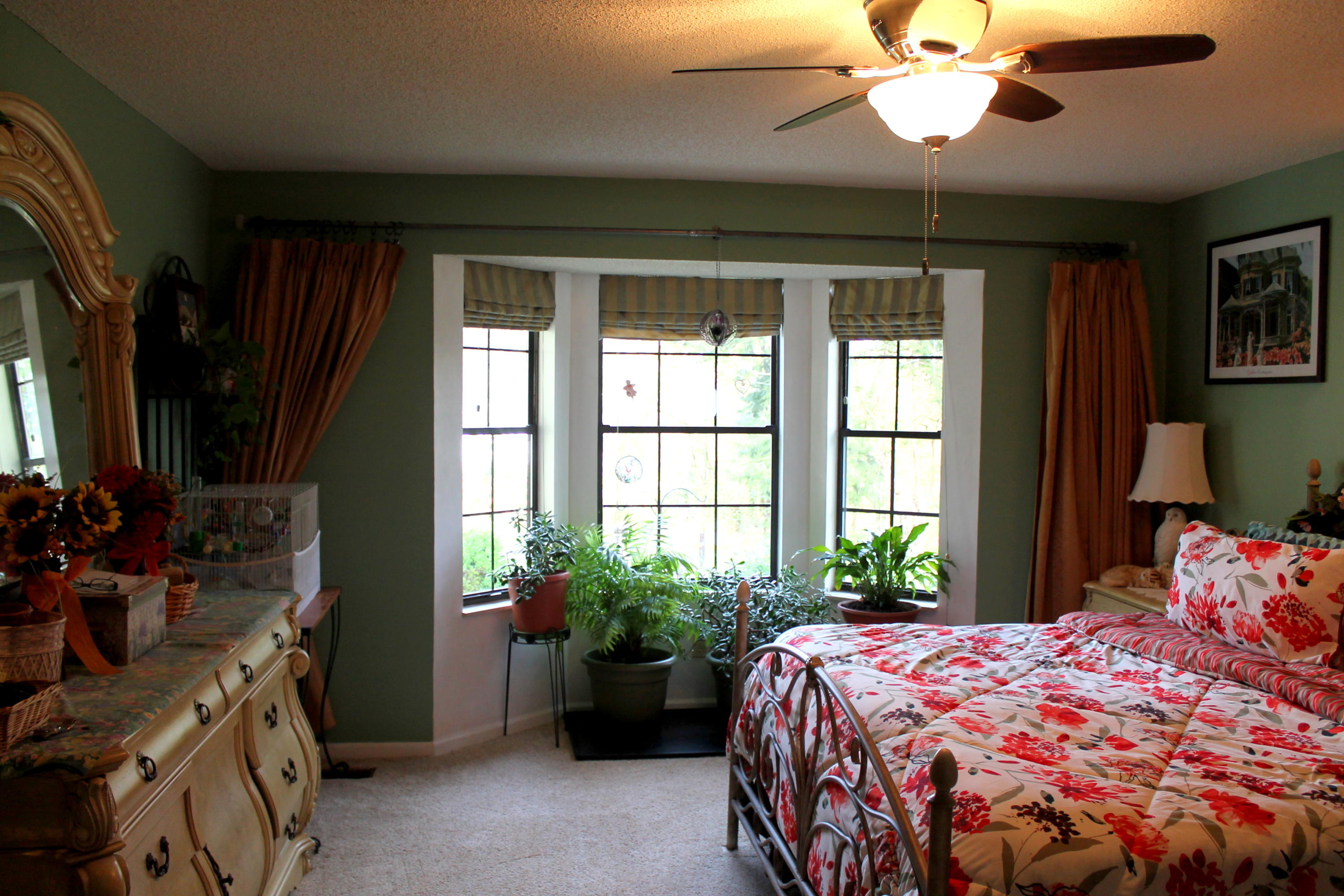 3417 Ralph Phelps Road Louisville, TN 37777 - Photo 16 of 32 Plants flourish in the master bay window