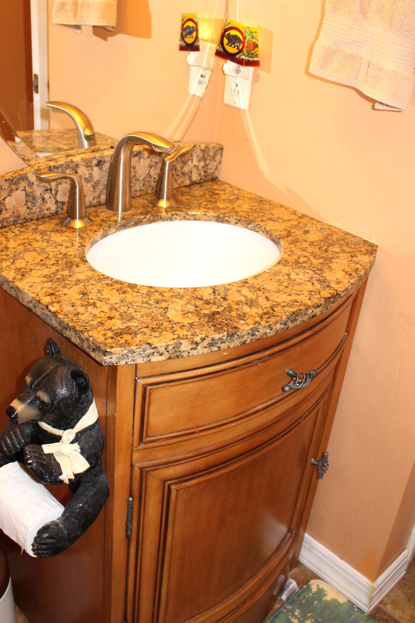 3417 Ralph Phelps Road Louisville, TN 37777 - Photo 21 of 32 Special touch in the hall bath