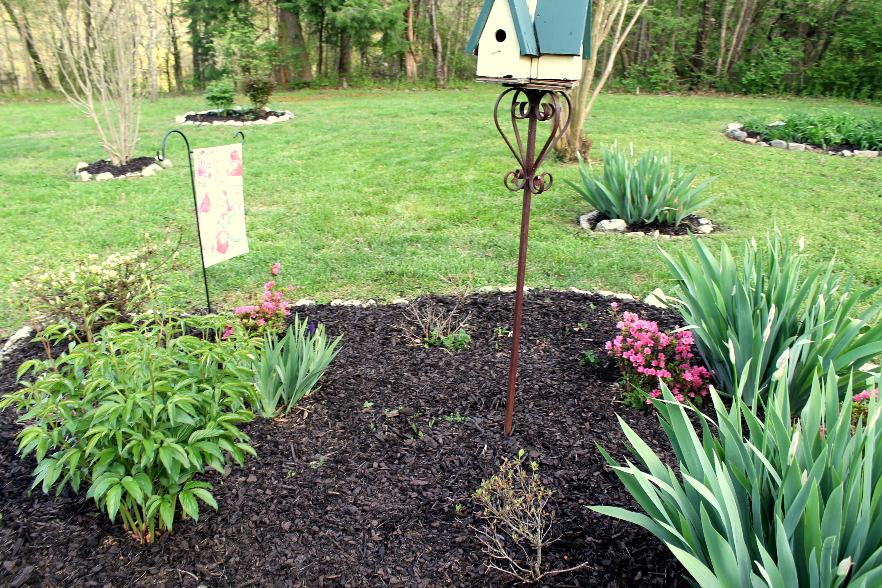 3417 Ralph Phelps Road Louisville, TN 37777 - Photo 23 of 32 Just a sample of the flower beds