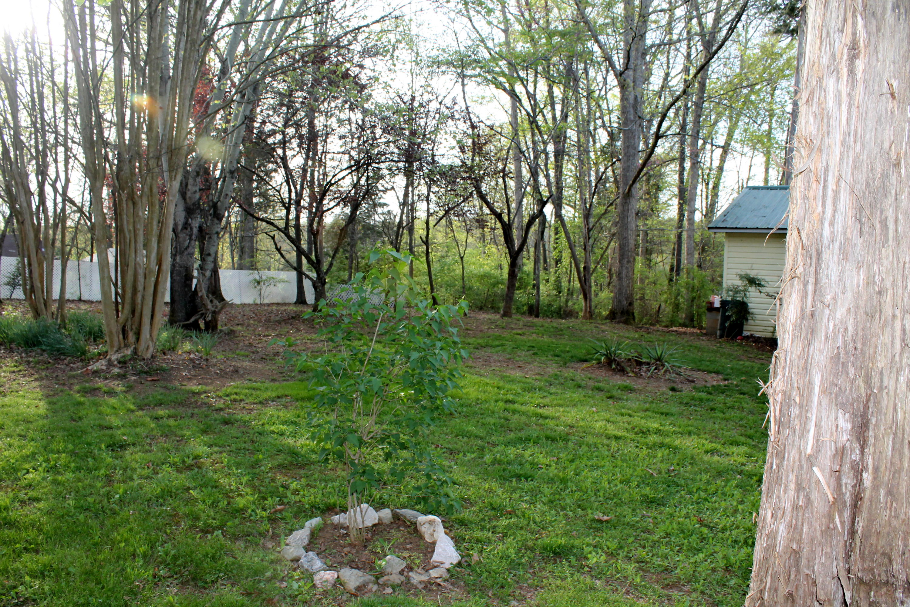 3417 Ralph Phelps Road Louisville, TN 37777 - Photo 24 of 32 A view of the rear yard