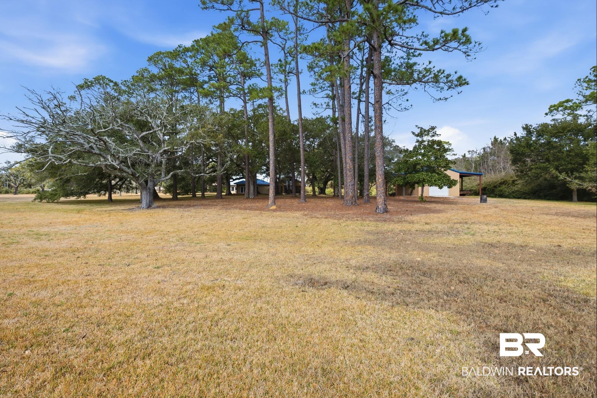 15025 Bellingrath Road Coden, AL 36523 - Photo 19 of 79 View of green lawn